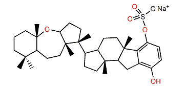 Toxicol C